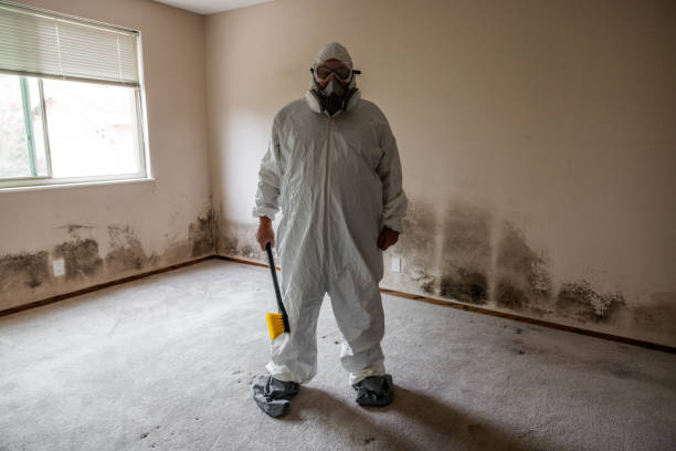 Best Crawl Space Mold Removal  in Butler Beach, FL